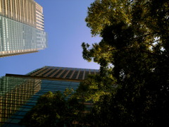 頭上のビルと隙間。