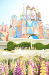 ディズニーランド