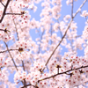 4月4日
