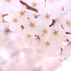 3月31日