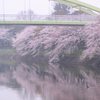 4月1日