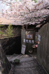 坂の町　尾道