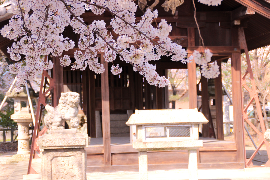 3月31日