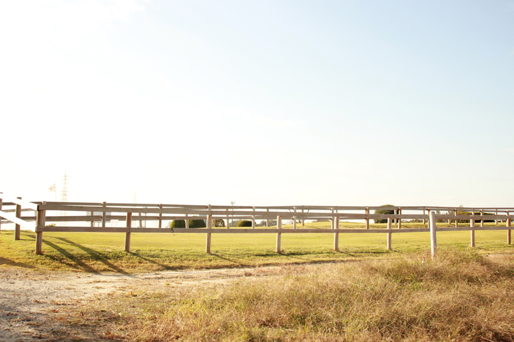 それはとても晴れた日で、未来なんていらないと思ってた
