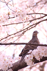 3月31日