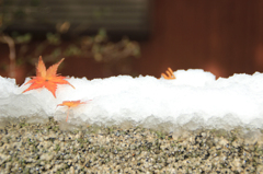 雪