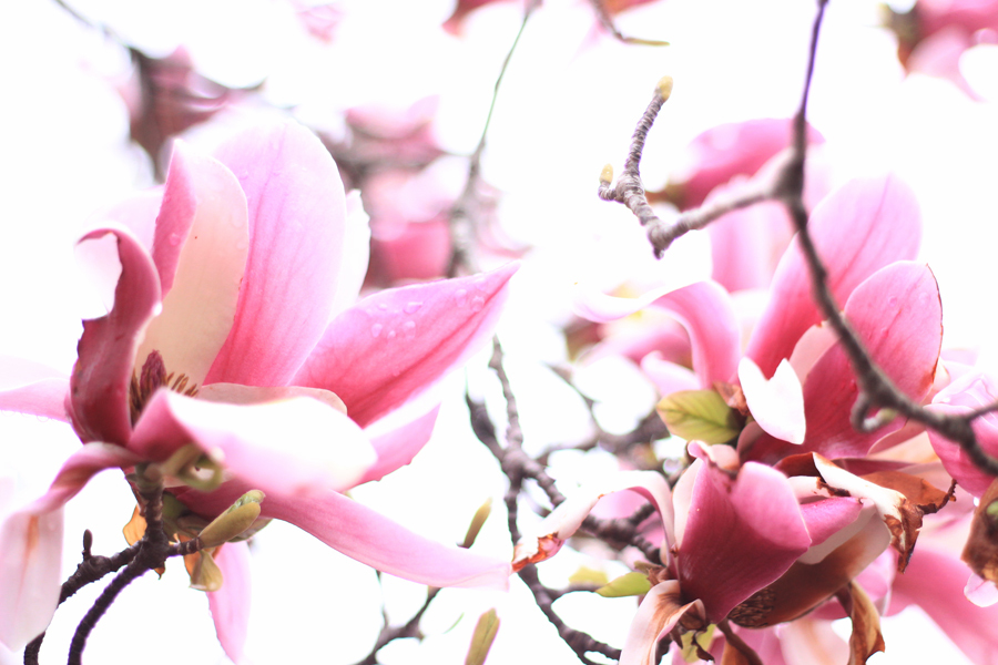 4月1日
