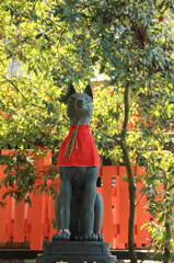 伏見稲荷