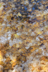 雪