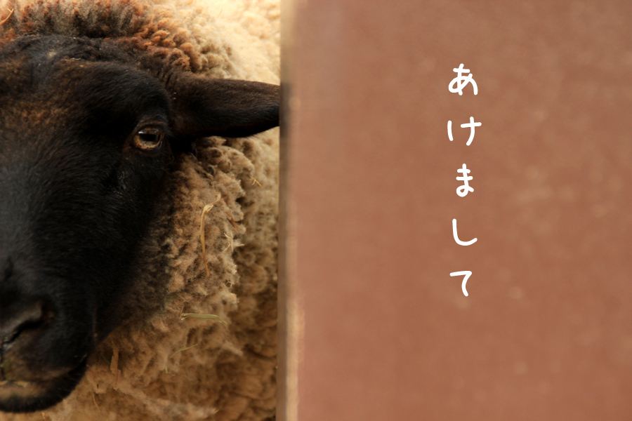 （俺の年）