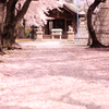 4月4日