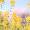 4月4日