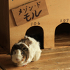 「見つかった」