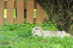 一休み