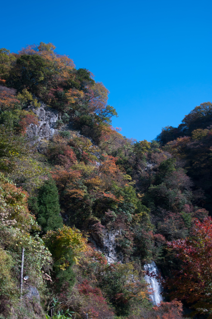 滝と紅葉