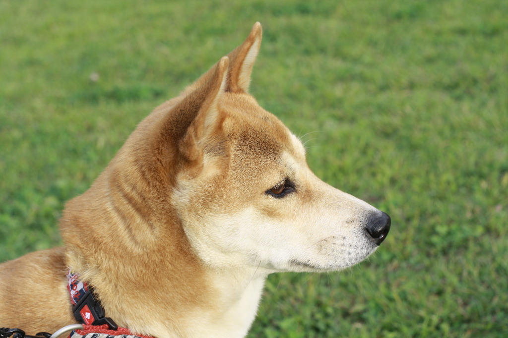 公園で