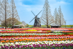 あけぼの山公園
