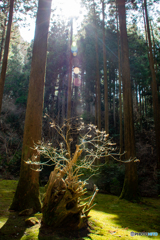 御岩神社