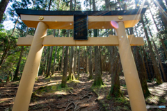 薩都神社(さとじんじゃ)