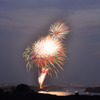夏の彩り2011-059