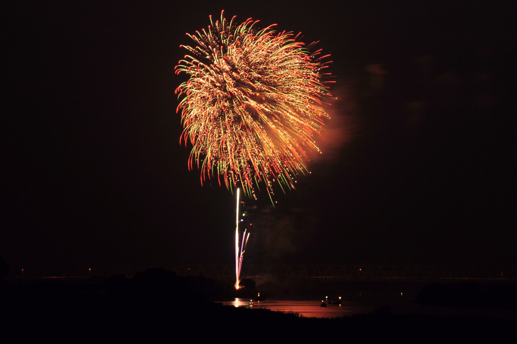 夏の彩り2011-072