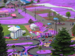 東藻琴芝桜公園の2
