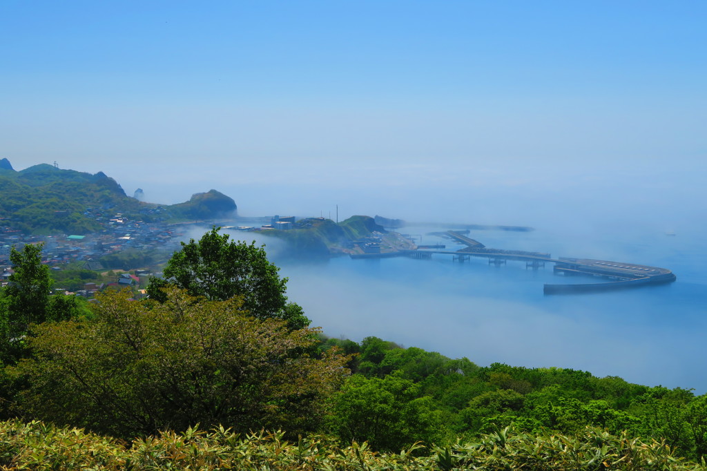 測量山からMランドを望む