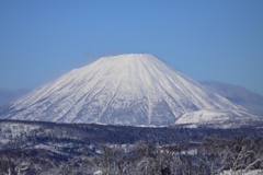 羊蹄山どーん