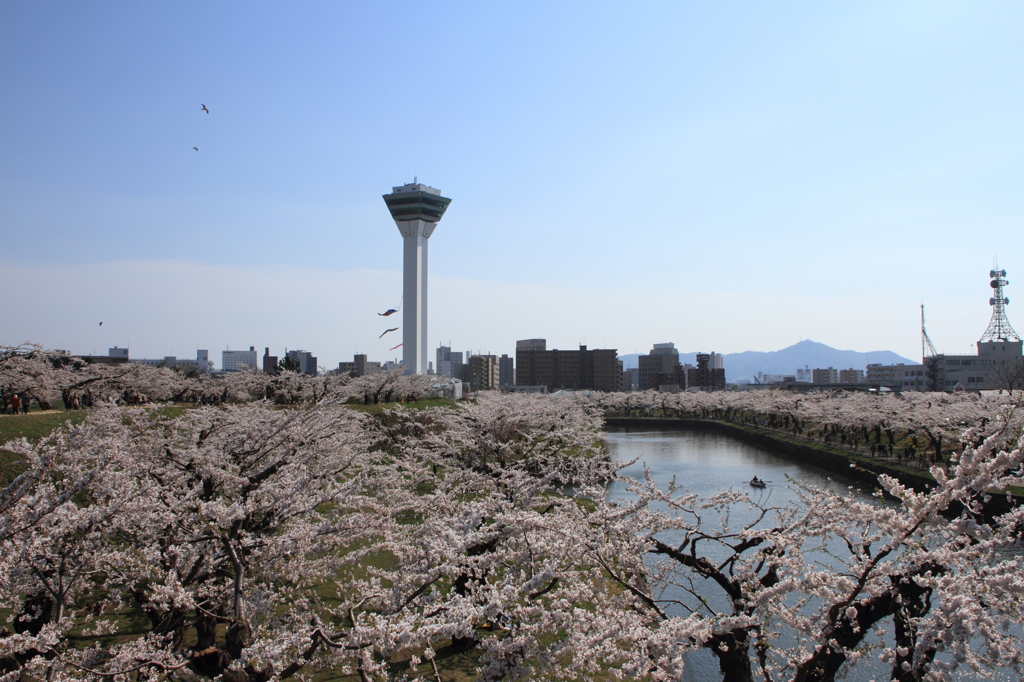 五稜郭公園
