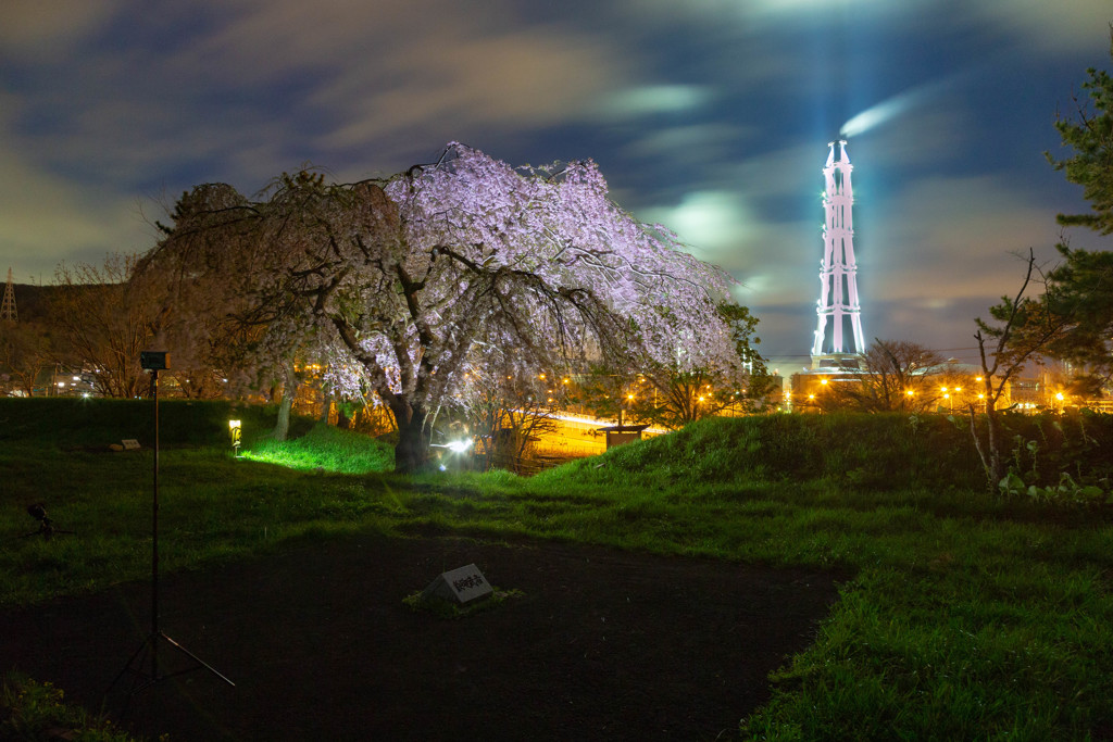 桜煙突