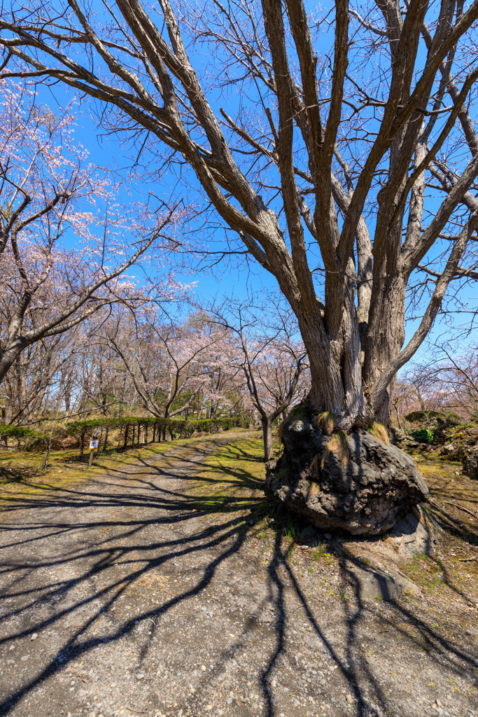有珠善光寺　その１