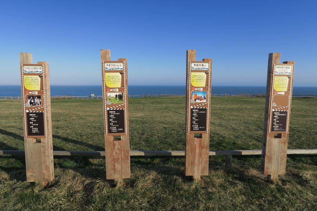 あんまり見ないかも