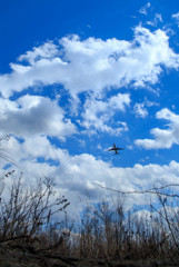 大空へ