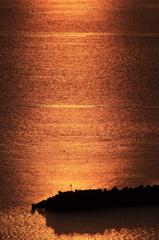 夕景