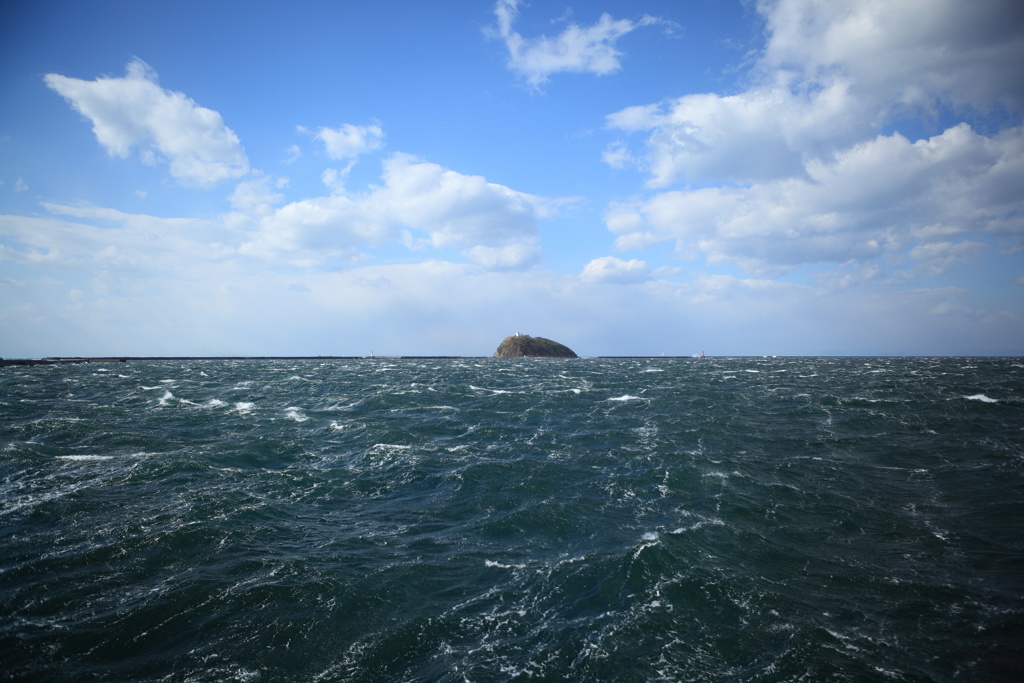 本日の大黒島