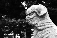 偉容