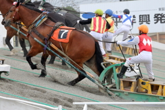 第1競走 ハルさん白寿おめでとう杯