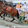 第1競走 ハルさん白寿おめでとう杯