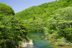 奥入瀬渓流