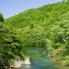 奥入瀬渓流