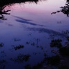 夕暮れ空～水たまり～