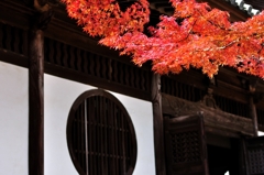 宝福寺　紅葉