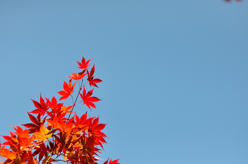 空に伸びる。