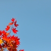 空に伸びる。
