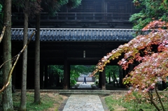 曹源寺
