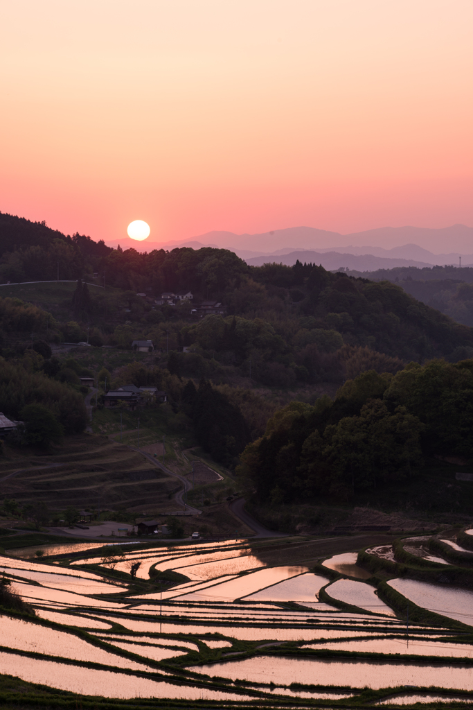 棚田の夕景