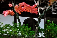 宝福寺と紅葉