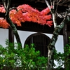 宝福寺と紅葉