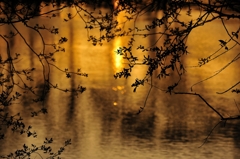 川面に映る夕陽