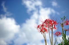 秋の空